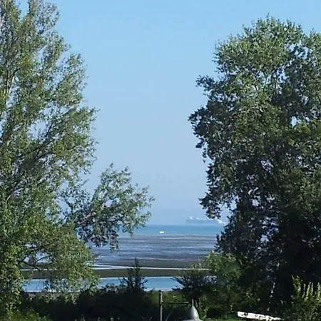 Splendid * Grado